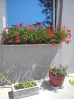 Zahrada ubytování Guest House Vukušić