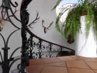 Půdorys ubytování Palacio Doñana , Rural & Luxury