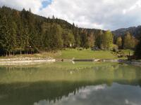 Príroda v okolí apartmánu