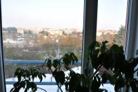 Plan piętra w obiekcie Hotel Lions Plzen