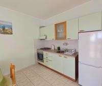 Kuchyň nebo kuchyňský kout v ubytování Apartments Maskovic Karbuni