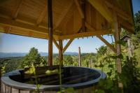 Zahrada ubytování Vineyard cottage Škatlar 3