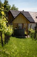 Zahrada ubytování Vineyard cottage Škatlar 3