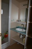 a bathroom with a sink and a mirror at La Ptite Ferme de Caro in Meyrignac-lʼÉglise