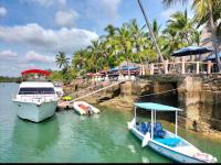 Příroda nedaleko vily