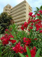 A garden outside Apartamento MIRAMAR