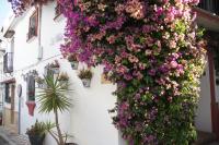 Vonkajšia záhrada v ubytovaní Elviria Apartment