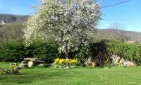A garden outside La Casona del Pastor