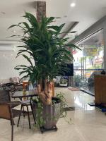 Et opholdsområde på Ngọc Bích Luxury