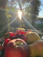 Φωτογραφία από το άλμπουμ του Phaselis Park Camping στο Κεμέρ