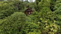 una cabaña en medio de un bosque de árboles en Solana Mar y Selva Boutique, en Bahía Solano