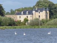 two swans in the water in front of a castle at Domaine de kerbillec in Theix