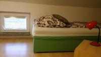 Postel nebo postele na pokoji v ubytování Apartment Lopar