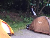 とまり木の宿泊客