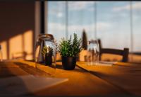 a table with two glasses and potted plants on it at Locanda il pagliaccetto Agriturismo B&B in Tragliatella