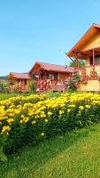 un campo de flores amarillas delante de una casa en Baltina Parc Transfagarasan, en Curtea de Argeş