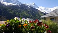 a bunch of flowers in front of a mountain at Hotel Du Clocher in Chamonix