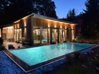 a swimming pool in front of a house at night at Welness penzion Modrý jelen in Lipno nad Vltavou