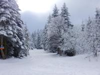 Chalet Les Sapins Argent&eacute;s durante el invierno