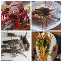 Mad i lejligheden eller i nærheden