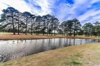 einen Teich auf einem Feld mit Bäumen im Hintergrund in der Unterkunft Beautiful 1500 s f 3 Bd - 2 Ba condo overlooking stream and golf course in Myrtle Beach