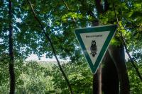 Naturlandschaft in der Nähe des Ferienhauses