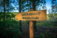 Naturlandschaft in der Nähe des Ferienhauses