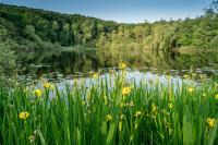 Naturlandschaft in der Nähe des Ferienhauses