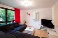 Televízia a/alebo spoločenská miestnosť v ubytovaní W & S Executive Apartments - Hallstatt I