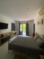 TV&#47;Unterhaltungsangebot in der Unterkunft Villa Serenice - F2 au calme, climatisé, WIFI et parking gratuit