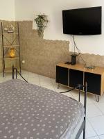 TV&#47;Unterhaltungsangebot in der Unterkunft Villa Serenice - F2 au calme, climatisé, WIFI et parking gratuit