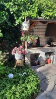 two potted plants sitting on a shelf in a garden at Siesta Vendégház in Eger