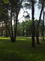 Príroda v okolí apartmánu