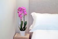 A bed or beds in a room at Cancelleriadieci