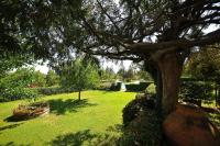 Vonkajšia záhrada v ubytovaní Villa Casafrassi -ONLY ADULTS