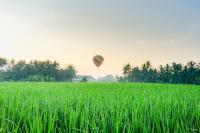 Příroda nedaleko vily