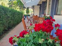 een patio met rode bloemen en tafels en stoelen bij Hotel Restaurant Imperial in Sighişoara