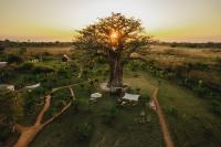 Příroda nedaleko luxury tent