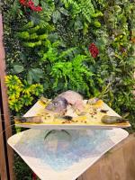 Vườn quanh Hotel &Restaurant Meteora