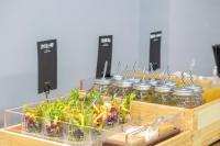 Jídlo v hotelu nebo okolí