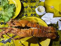 Jídlo v bed and breakfast nebo okolí