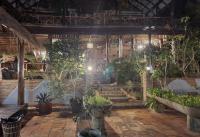 Zahrada ubytování Kep Lodge