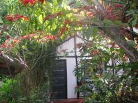 En have udenfor Banana Jungle Lodge