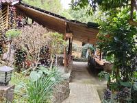 a garden with a wooden pergola with plants at The Munduk Camp in Munduk