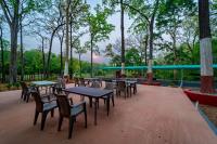 Zahrada ubytování Forest Safari Retreat