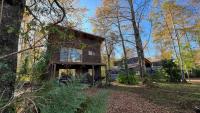 una casa vieja en el bosque con árboles en Cabañas Alto Bosque, en Pucón