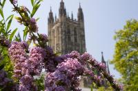 Ein Garten an der Unterkunft Canterbury Cathedral Lodge