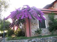 A garden outside Agriturismo La Vigna