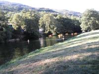 Paisaje cerca of this country house