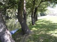 Paisaje cerca of this country house